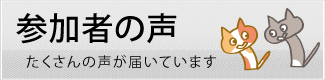 参加者の声